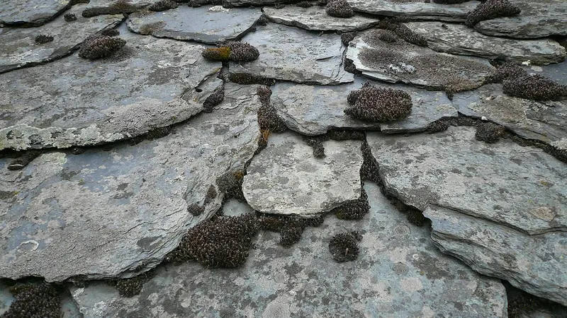 Close-up of rough, weathered stone slate roofing