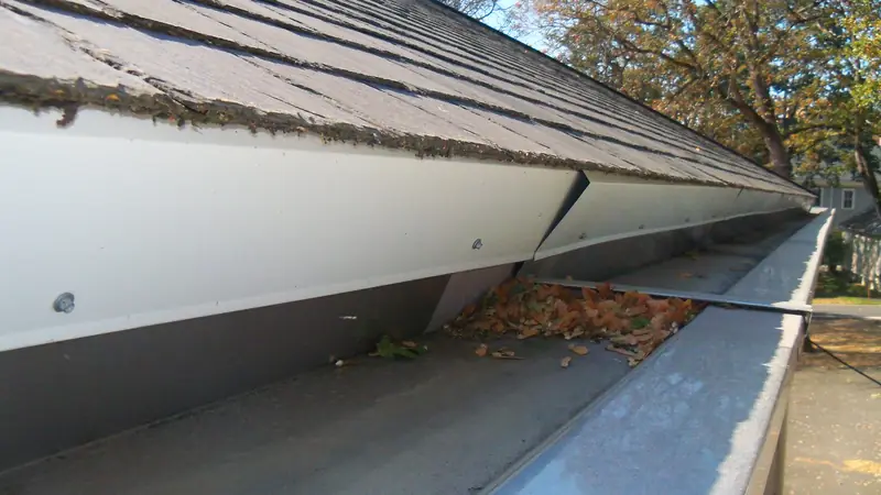 Clean gutter running under the edge of a shingle roof