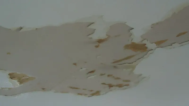 Water-stained ceiling with peeling paint